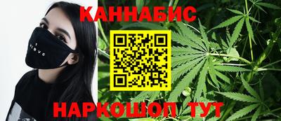 Альфа ПВП Ачхой-Мартан