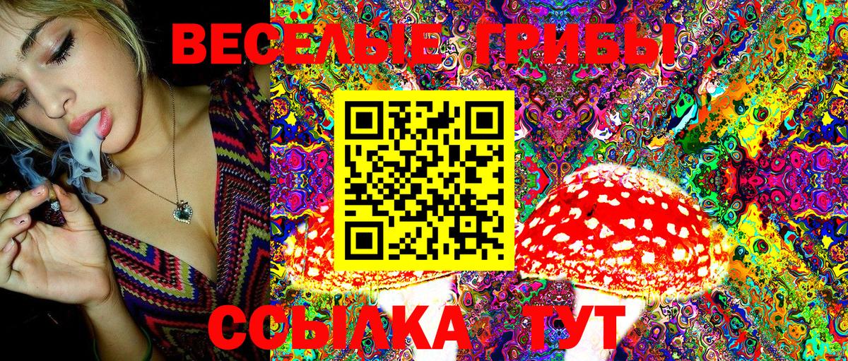 Галлюциногенные грибы Cubensis Избербаш